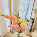 사파동295 이미지