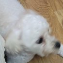 천지인주유소 티스토리