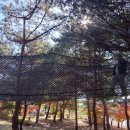 갤러리툰카페 | [강원_애니메이션박물관] 춘천 아이와 함께 구경하기 좋은 실내 체험관 추천
