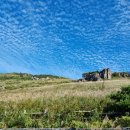 영 농장 이미지