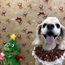 도루몽실 이미지