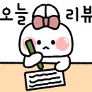 하하여행주 이미지
