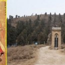 죽음도 갈라놓지 못한 사랑 이미지