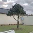 From. Marbang 프롬말방 이미지