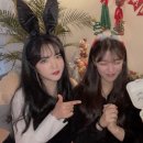 알로하비 이미지