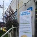 도그파우 이미지