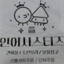 인어씨스터즈 이미지