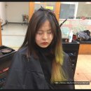 숙녀헤어센스 Daum카페