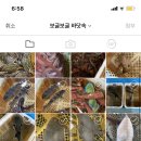 해리수산 이미지