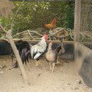 목인농장 이미지