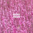 오성농원 이미지