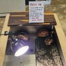 러키더키(LUCKYDUCKY) | 칠곡 이색카페 러키더키 : 카페, 수족관, 식물원까지 내돈내산 솔직후기