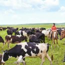 전진목장 이미지