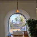 하이멍 애견카페 이미지