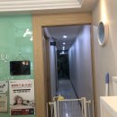 새봄동물병원 | 새봄동물병원 다녀온 솔직후기(소동물후기)