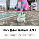 함께하는푸드마켓 | 서울 애견동반 축제 2025 차 없는 잠수교 뚜벅뚜벅 축제(기본정보 푸드트럭 마켓 등)