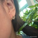 3에이치스마트지압침대 | 하루 10분 셀프 테라피, 헬씨이어 귀지압스티커로 건강과 미용 케어하기
