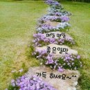 서호경로당 이미지