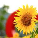 능암주유소 이미지