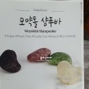 님Neem | 고체샴푸 비누샴푸 모약돌 샴푸바 모이스쳐