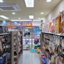 옥정강아지 이미지