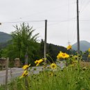 양원리낚시터 이미지