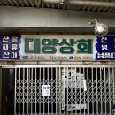 대양상회 이미지