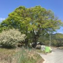 (주)쌍마산업 이미지