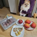 댕가앤쿡 이미지