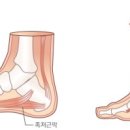 GLOW GYM 이미지