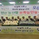 천안배원예농협하나로마트