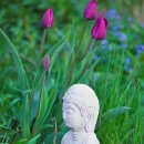 극락왕생 이미지