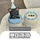 광주 강아지 케이크 뽀미까까 진월점 강아지 생일 후기