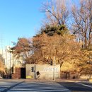 태평서울병원 | 삼성서울병원 갑상선암 30대 남자 첫 외래 진료 후기 (수술 vs 추적관찰)