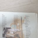 마로니에3 이미지