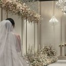 고즈헤어 | 르엘컨벤션 크리스탈볼룸홀 본식 상세 후기(feat,김성화웨딩, 고즈바이스냅, 그래비티비주얼, 뷔페...