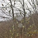 사암2리 이미지