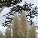 북문놀이터 이미지