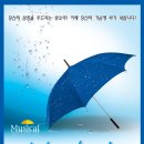 사랑은 비를 타고 이미지