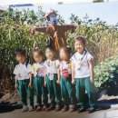 TX50 태권도 이미지