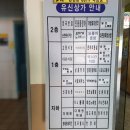 진동돌장어 이미지