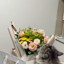 하늘정원꽃집 - 강남구 선릉로 431 | 역삼동꽃집 하늘정원 집들이선물 추천 꽃다발 후기