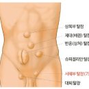 담대한외과의원 이미지