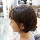 호야헤어샵