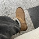 꼬솜데이 이미지