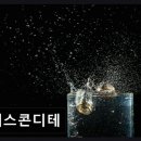 에스콘디테