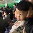 승리마루화랑체육관 | 부산 아이와 함께 사직종합운동장 KCC 경기관람 후기 승리요정