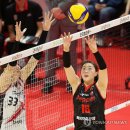 박사랑 카카오 검색결과