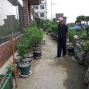 이화약국 이미지