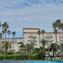 (주)이랜드파크켄싱턴리조트 제주중문 이미지